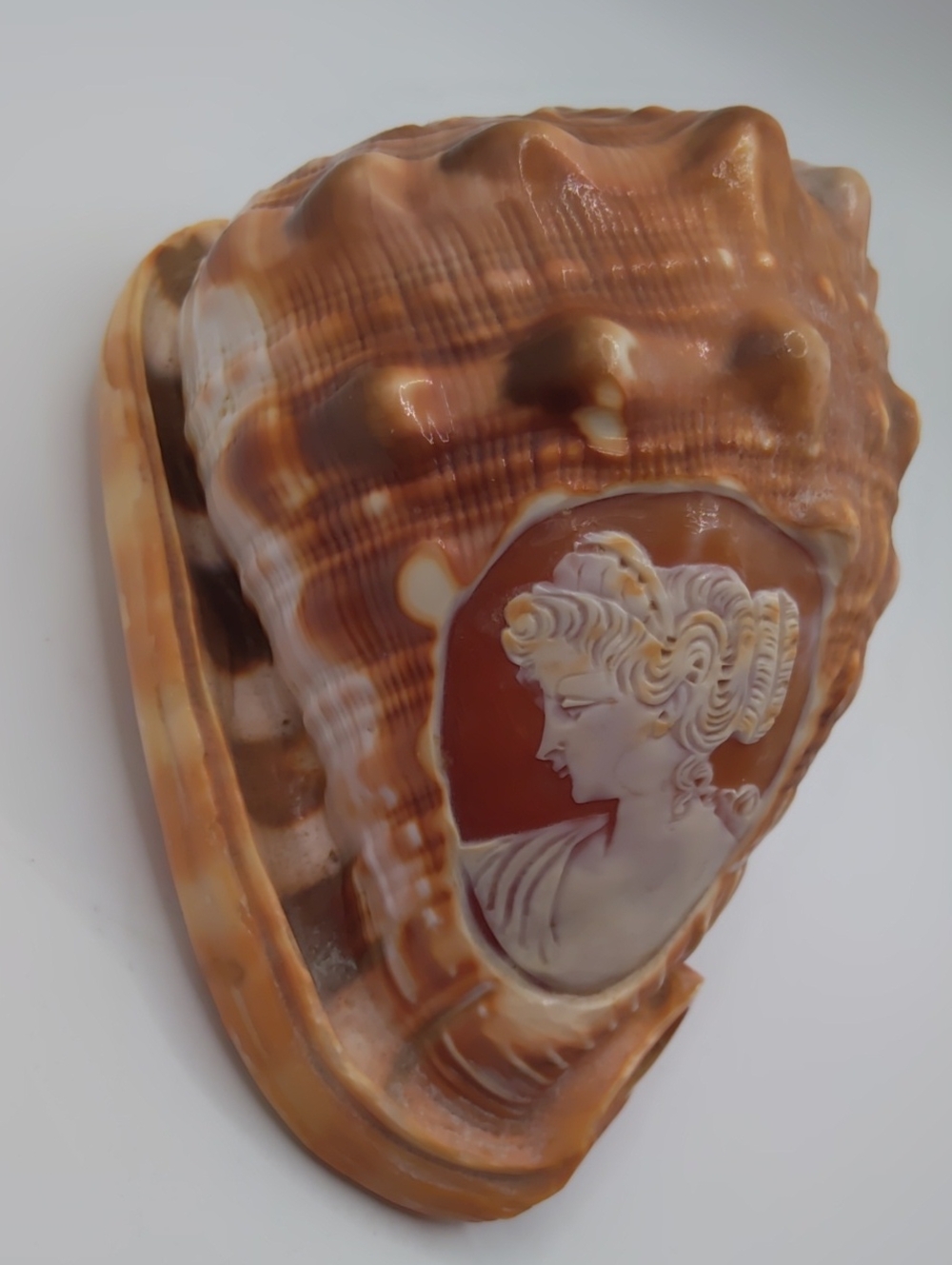 Hand Carved Shell Cameo Made In Italy - Picture 4 of 7